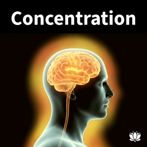 Concentration Music playlist cover