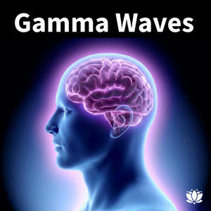 Gamma Waves 40 Hz playlist cover