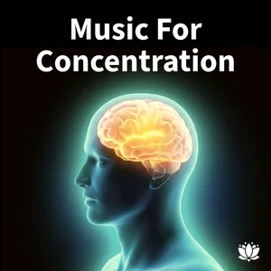Music for Concentration playlist cover